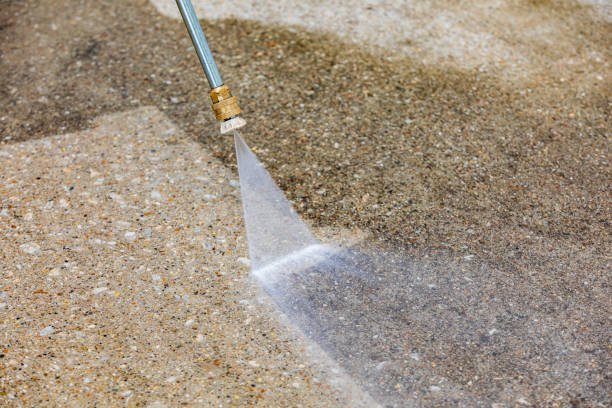Best Vinyl Siding Pressure Washing in Loma, CO